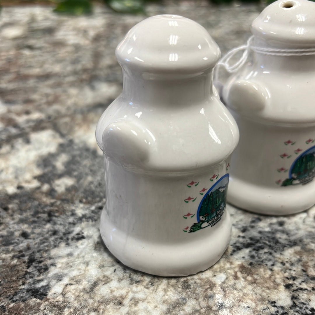 Souvenir Shaker Set