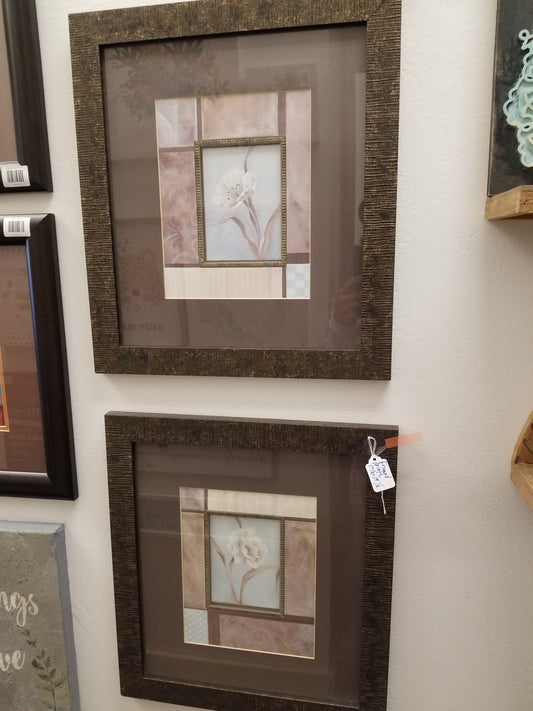Framed prints pair
